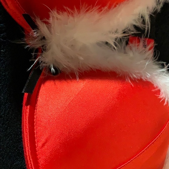 Tarea Rue 21 Christmas BRA 36 C Mrs Clause NWT - Picture 4 of 5